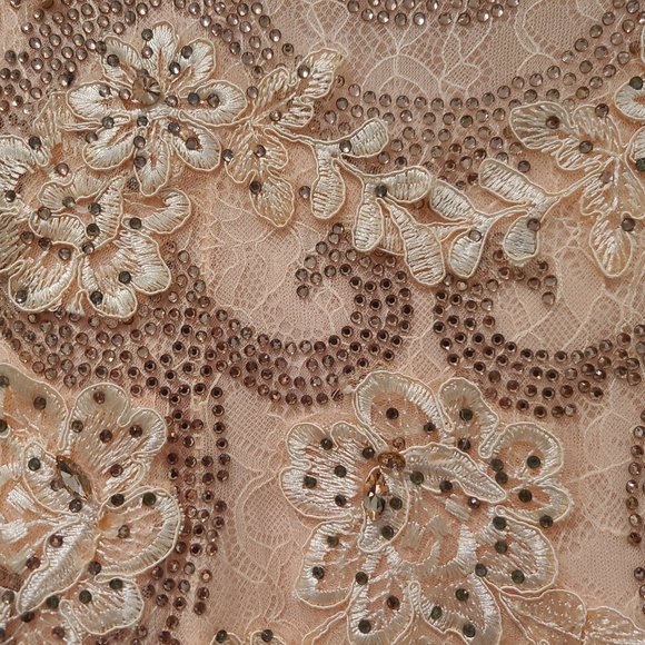 Stunning Peach Lace Gown with Train - Picture 6 of 12